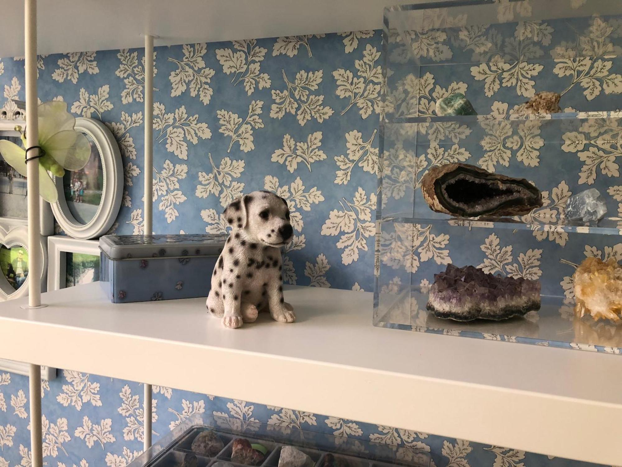 Appartement La Tana Dei Dalmatini à San Benedetto del Tronto Extérieur photo